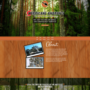 singe page theme website